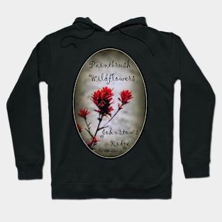 paintbrush wildflowers, Johnston's Ridge 2 oval Hoodie